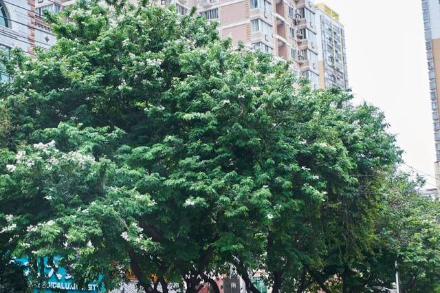 xingkong体育官网登录