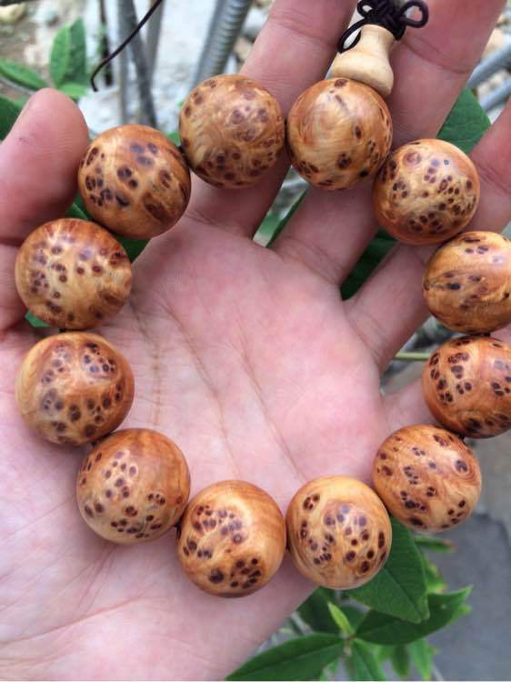 xingkong体育官网登录