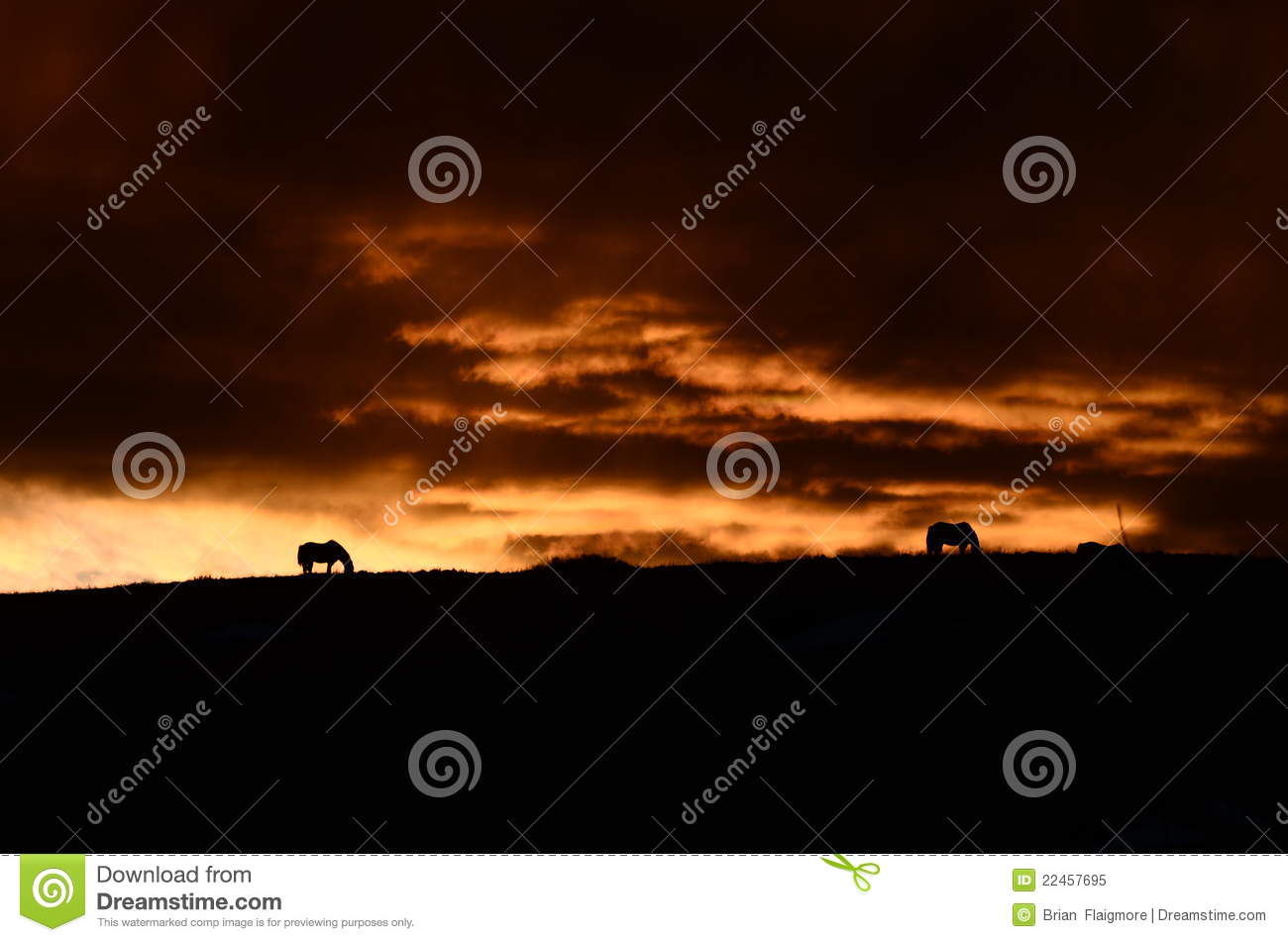 扬州华侨城举办首届诗词歌画展‘星空官网登录’(图3)