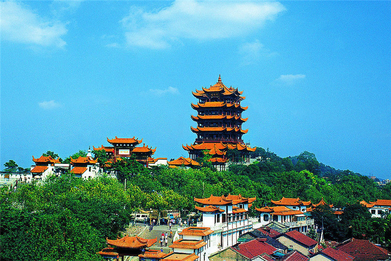 xingkong.com_抗击病毒，以画助力——郾城区许洼小学一八班《新冠肺炎科普手绘本》(图2)