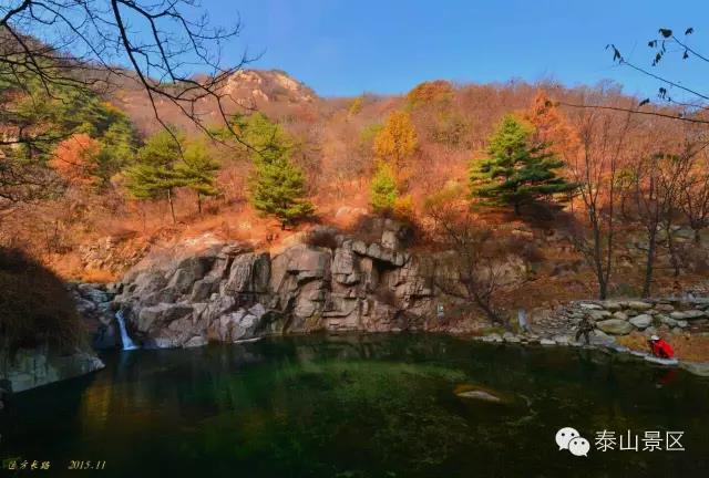 教师编制考试:幼师编制怎么考,你知道吗?_xingkong体育官网登录(图3) 教师编制考试:幼师编制怎么考,你知道吗?_xingkong体育官网登录(图3)